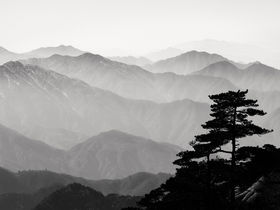 Photographier: Un acte méditatif au-delà des images