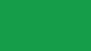 web-gif.gif
