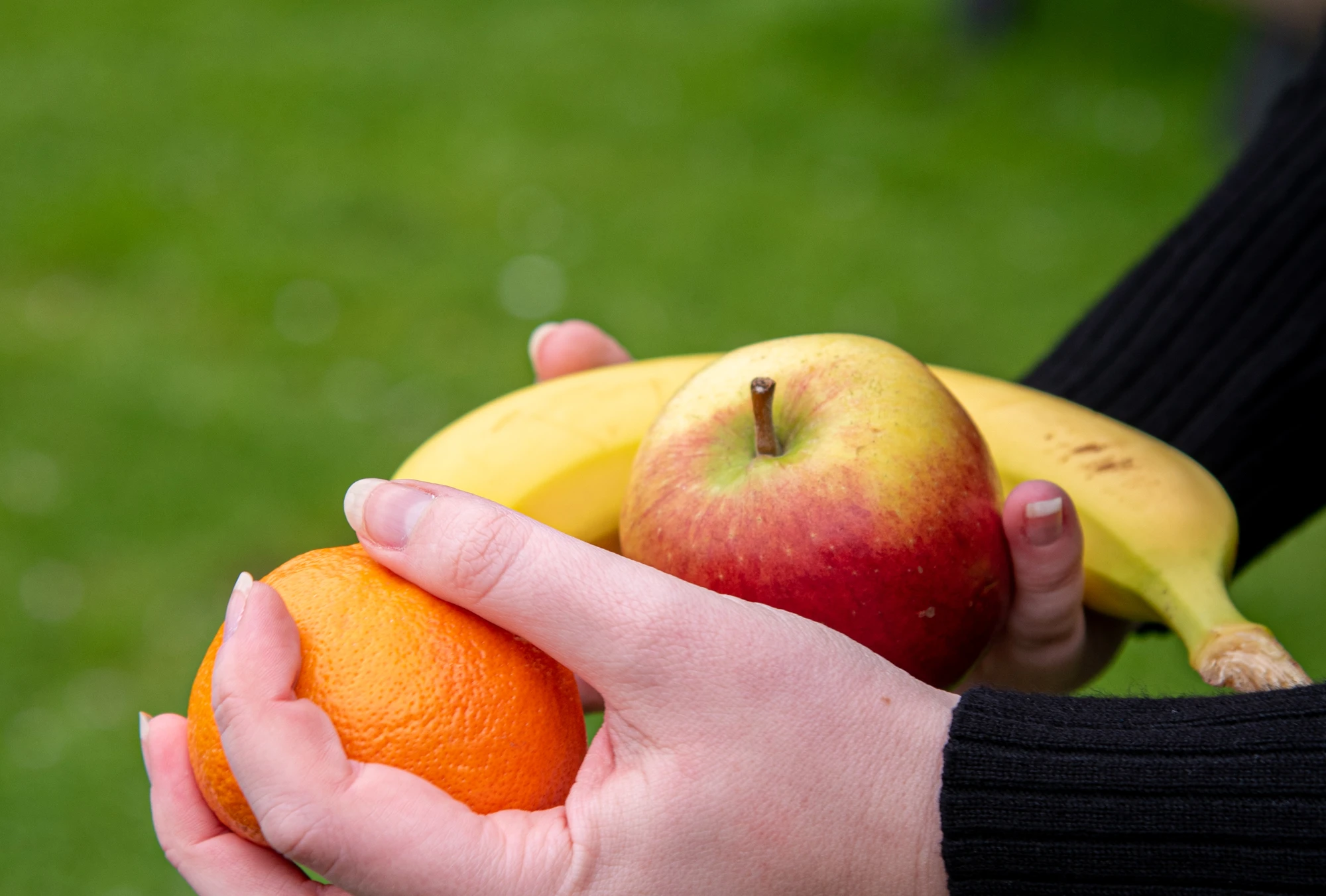 fresh fruit, orange, apple, banana 