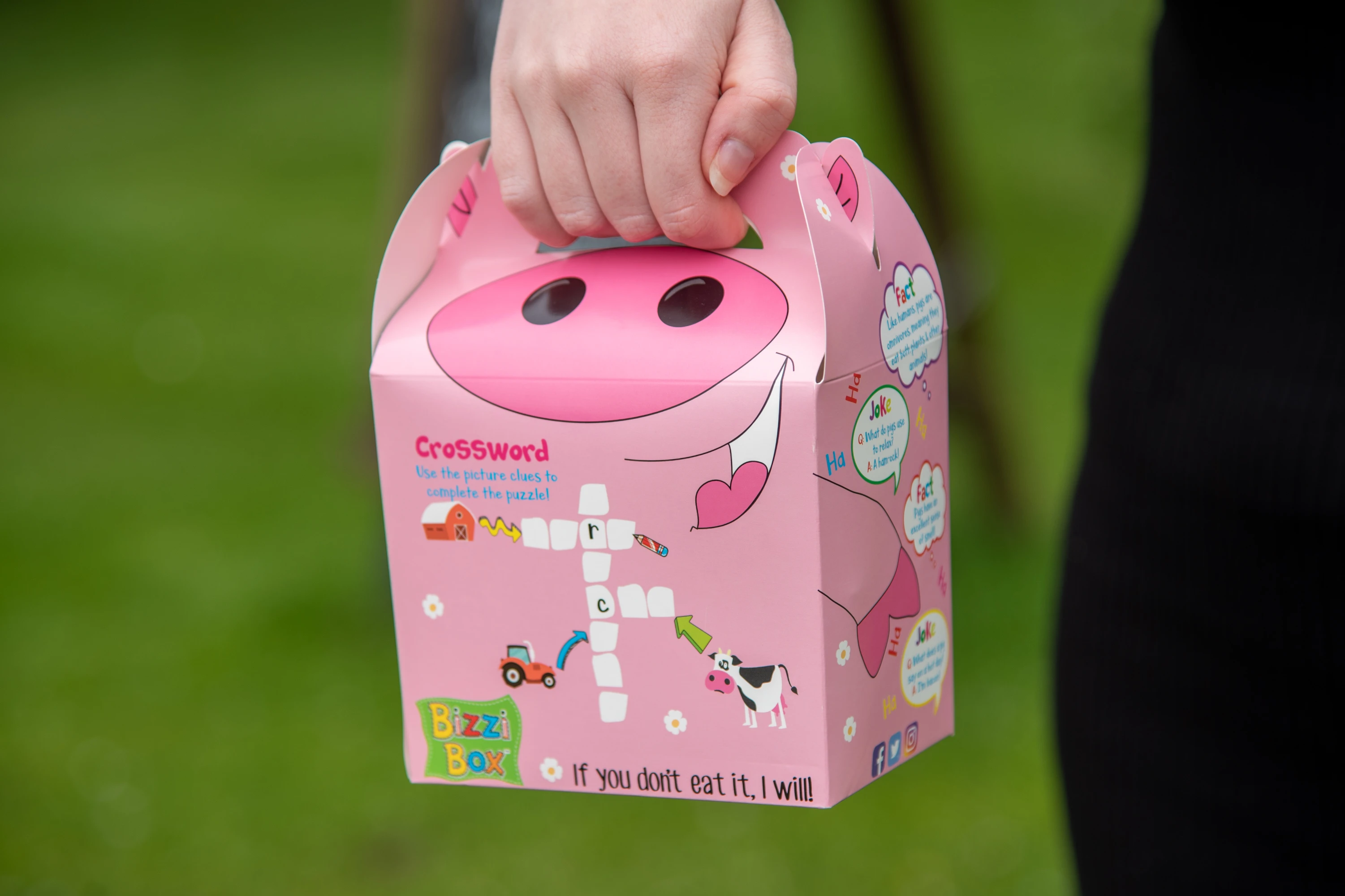 pig, farmshop, kid lunchbox, picnic