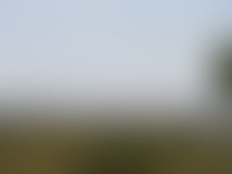 View of Atlanta from the Cemetery