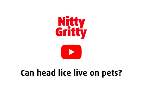 Can head lice live on pets?