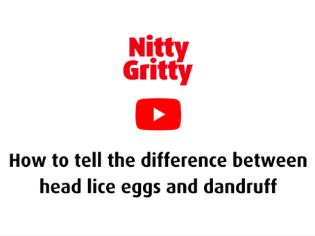 How to tell the difference between head lice eggs and dandruff?