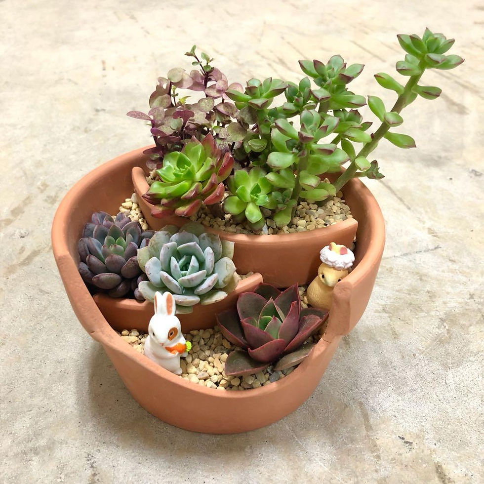 Broken Pot Succulent Planter Workshop