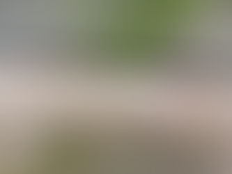 ハウスの隅っこで