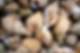 BULOTS (CUITS MAISON)