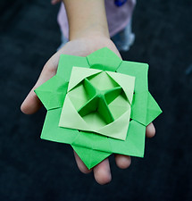 Ogreenspinner.jpg