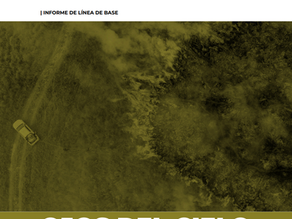 PDF | Línea de Base de Ojos del Cielo