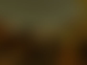 Soirées sous les étoiles du Printemps