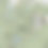 Thumbnail: Lake George Area Boating and Trails Map