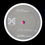 サムネイル： XANADU ALL STARS / TRUE BLUE