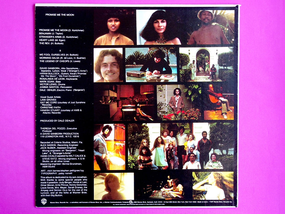 サムネイル： DAVID SANBORN / PROMISE ME THE MOON