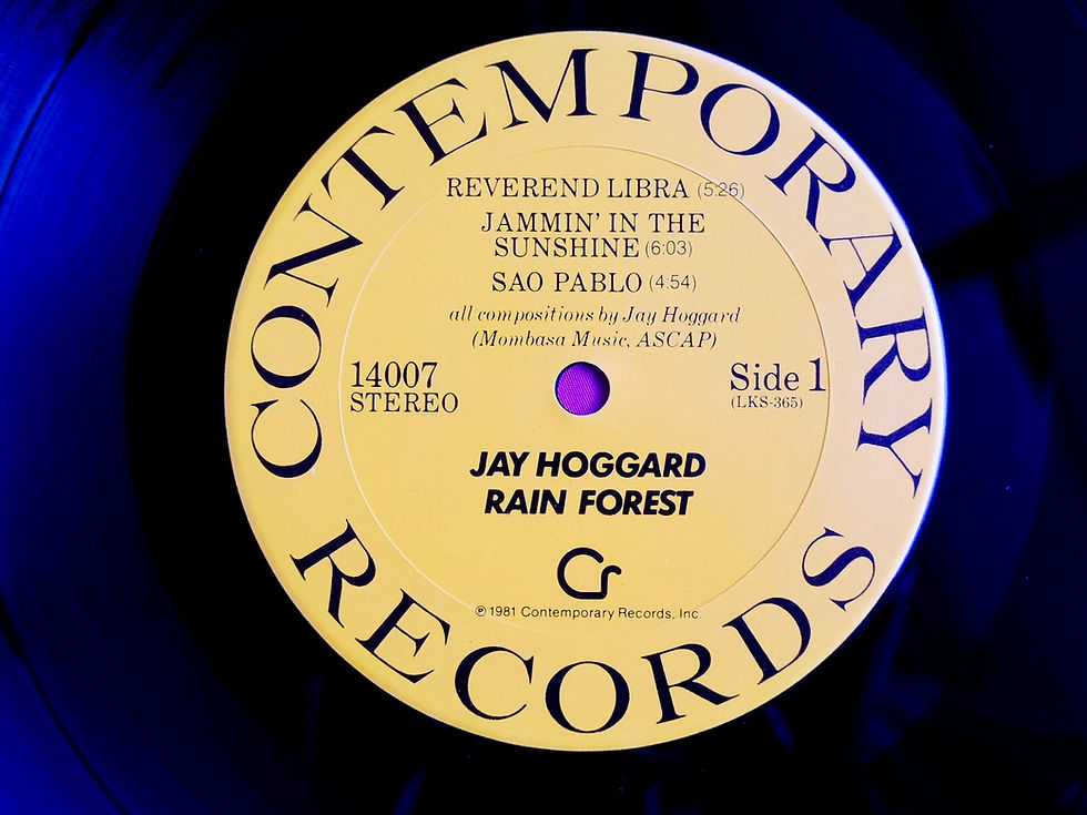サムネイル： JAY HOGGARD / RAIN FOREST