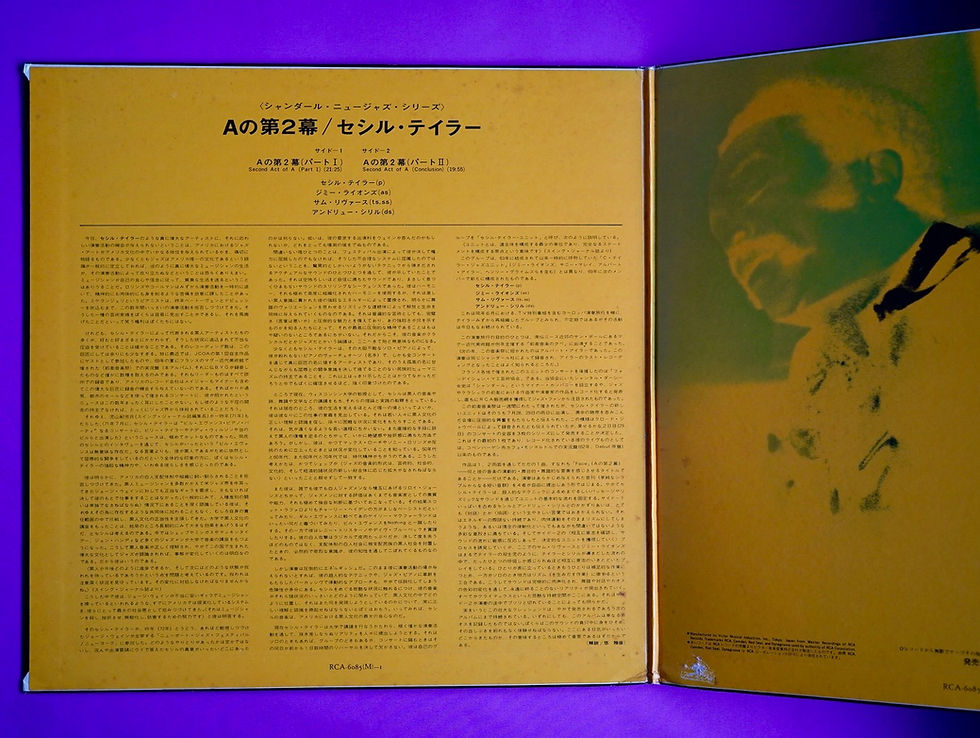 サムネイル： CECIL TAYLOR / NUITS DE LA FONDATION MAEGHT VOL.1
