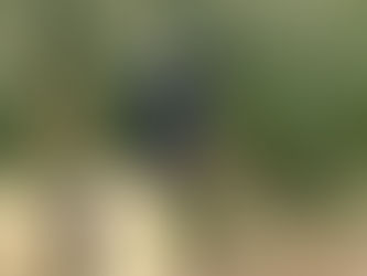 【生産者インタビュー特別編】Slow Farmの野菜と果物