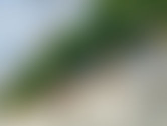 【御礼】まもなくイチゴシーズンが終了します