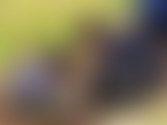 【今年も開催決定!】早野の田んぼで稲刈り体験