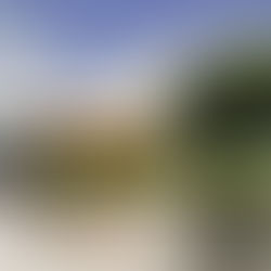 Houseboat Experience at Alappuzha