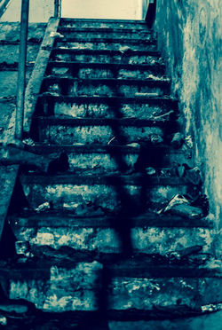 29025890_10211574726871471_6619144077491306496_o