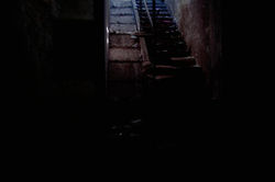 28951727_10211574714311157_1690996729731612672_n