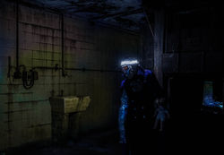 29101805_10211574719951298_3871983265829093376_o