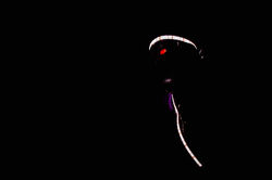 28872275_10211574712951123_3251340034627862528_n