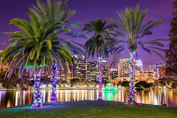 things-to-do-in-orlando-at-night-optimized.webp