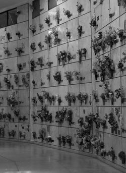 29066791_10211574726151453_9090711221614673920_o