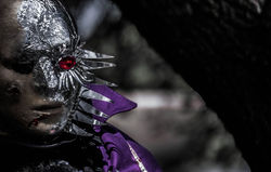 28951469_10211574716471211_7252468788044496896_o