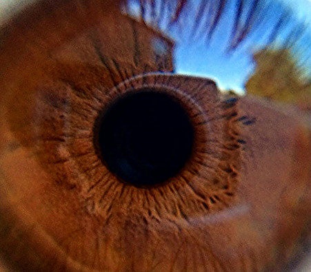 Close-Up Eye