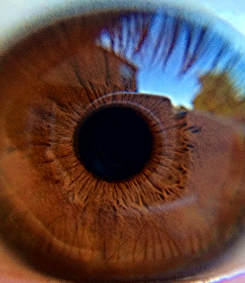 Close-Up Eye