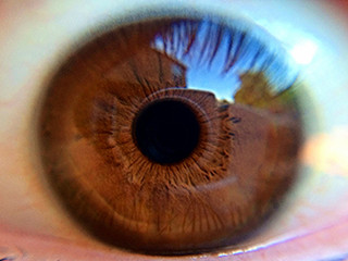 Eyes Unveiled