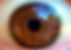 Brown Eye Closeup