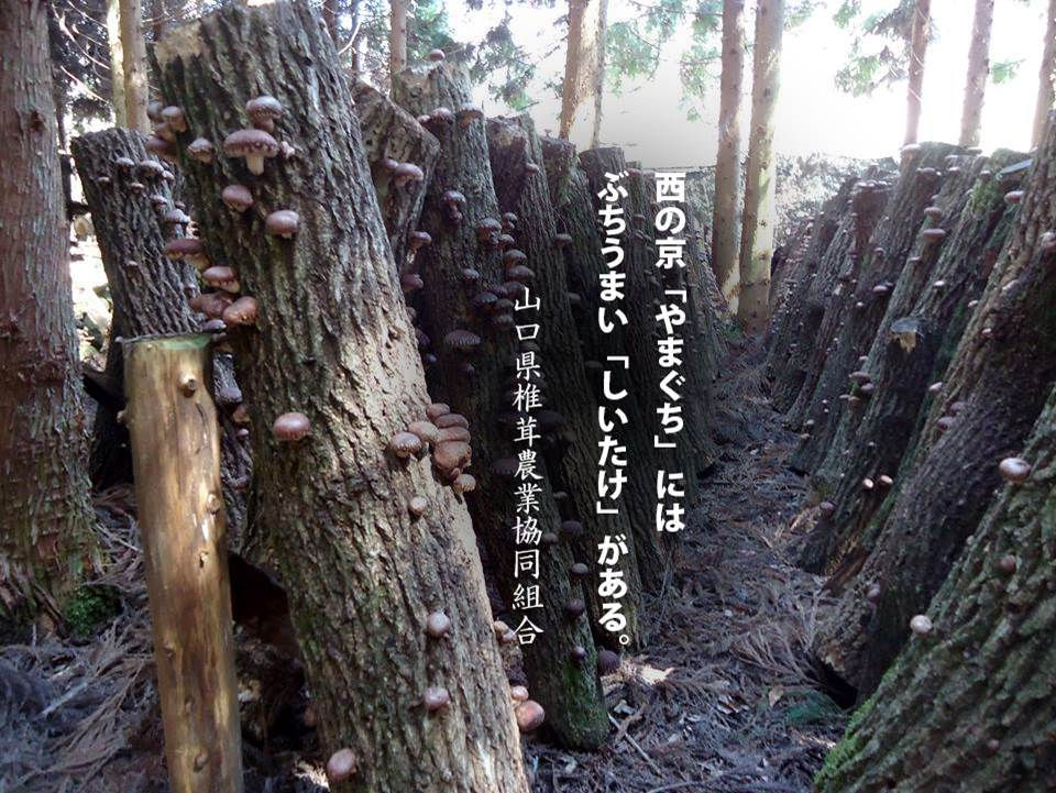 榾場風景