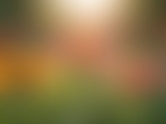 The Story of Jesus and the Children A Journey Through Faith and Innocence