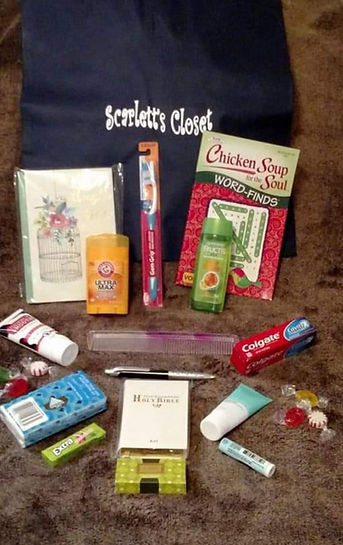 Scarlett's Closet Car Bag