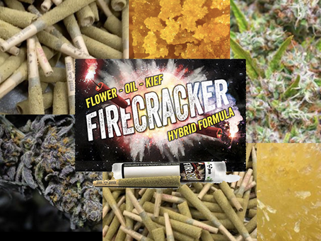 Phat Panda | Firecracker