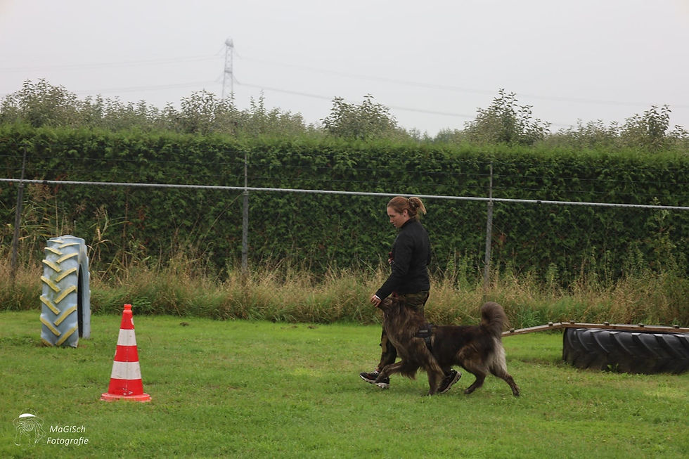 Darka at her competition trial