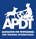 APDT International logo