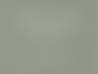 Why Discipline Fails When the Nervous System Is Dysregulated