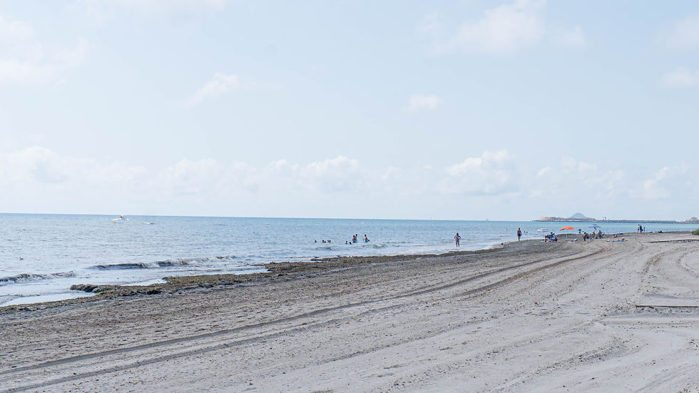 Playa las Higuericas