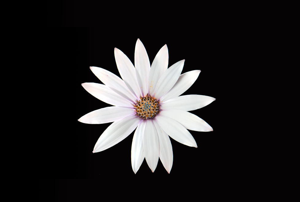 stack 1 complete experiment  copy.jpg