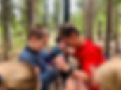Challenge Course 2.jpeg