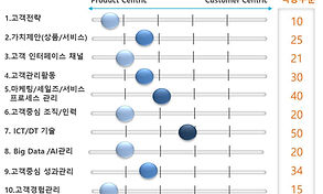 역량수준.jpg
