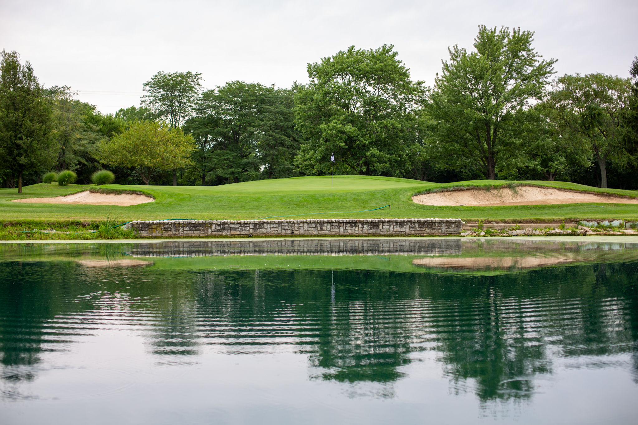 Homestead Golf Course Scenery