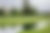 Homestead Golf Course Scenery