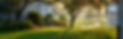 Homestead Golf Course Reviews