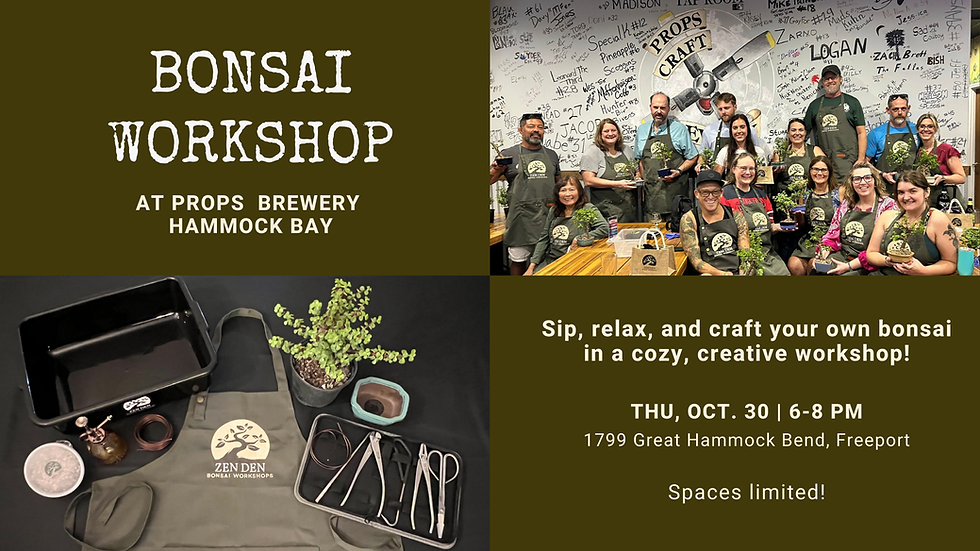 Zen Den Bonsai Workshop at Props Brewery Hammock Bay