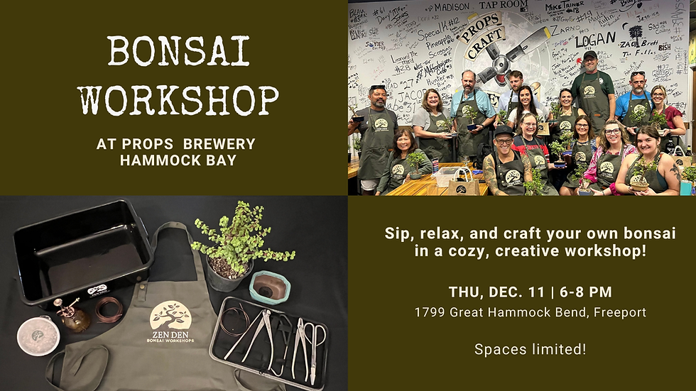 Zen Den Bonsai Workshop at Props Brewery Hammock Bay