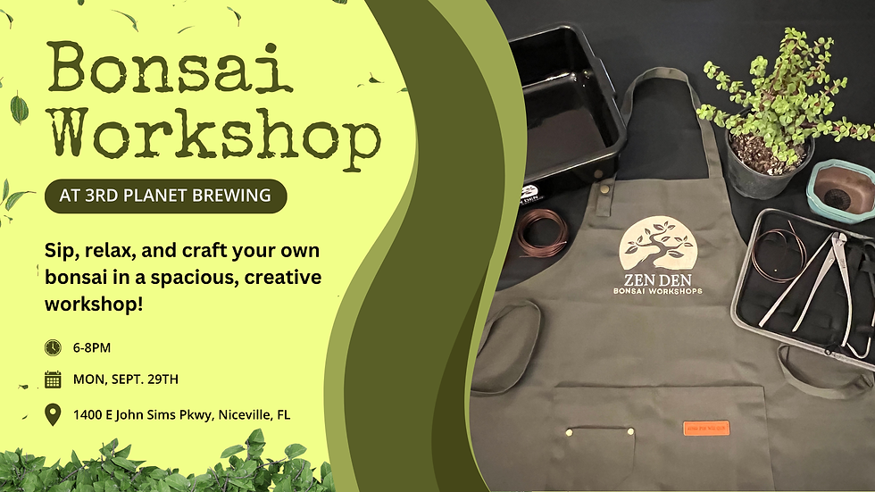Zen Den Bonsai Workshop at 3rd Planet Brewing